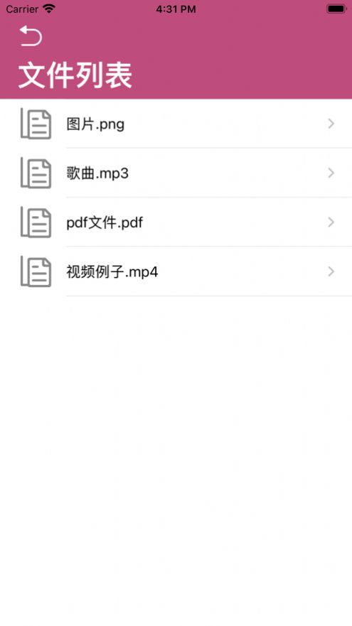 白驹文件共享截图