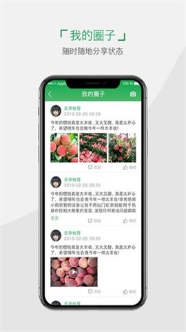 小雨农智截图