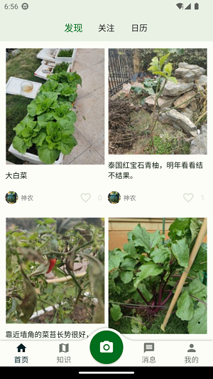 鱼菜记截图