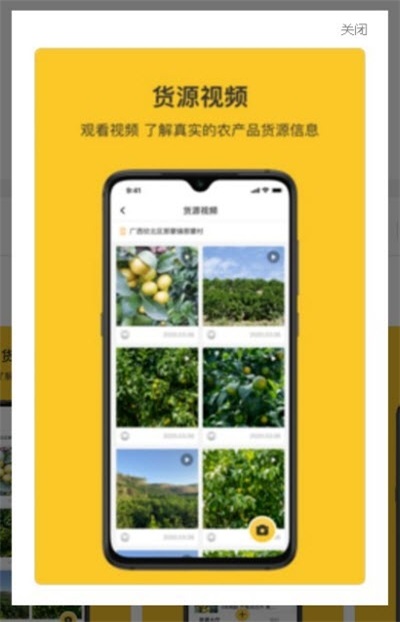 飞鸽找货