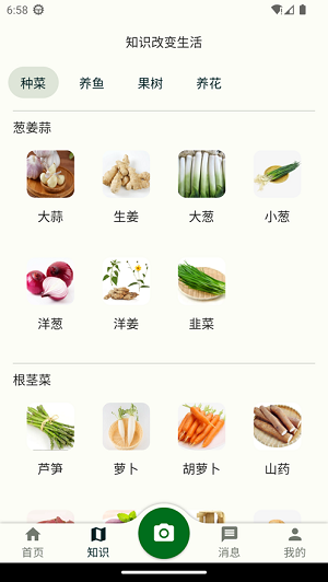 鱼菜记截图