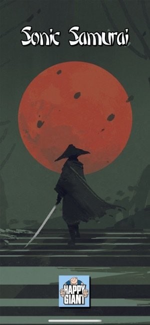 索尼克音速武士截图