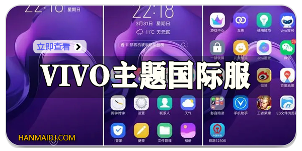 vivo主题