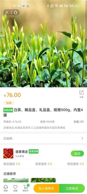 一灯茶网截图