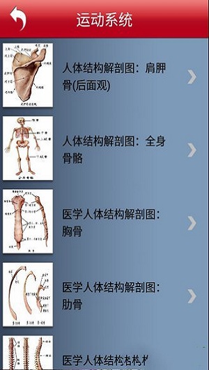 人体解剖图截图