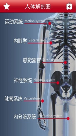 人体解剖图截图