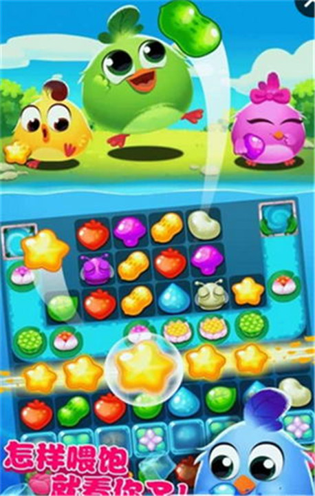 小鸡爆破3截图
