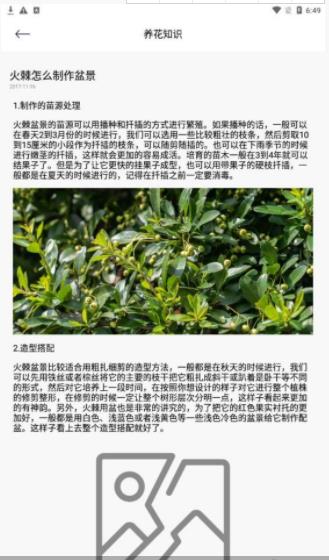 幸福花园君
