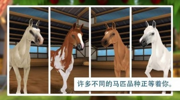 马儿旅舍截图