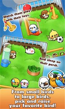 鸟类生活