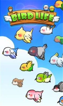 鸟类生活