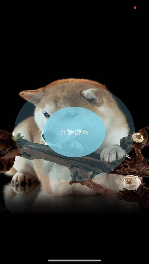 一张图片截图
