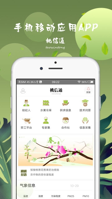 桃信通