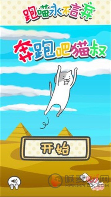 奔跑吧猫叔