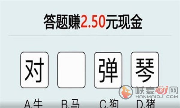 才智大比拼