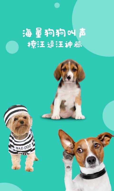 狗语翻译截图