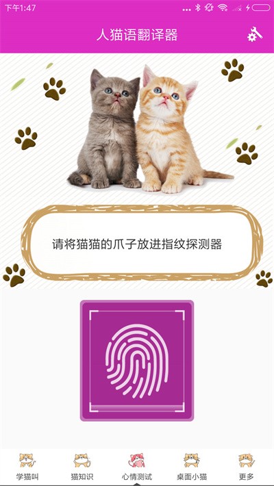 人猫语翻译器截图