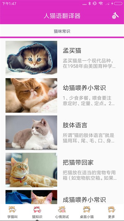 人猫语翻译器截图