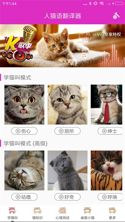 人猫语翻译器截图
