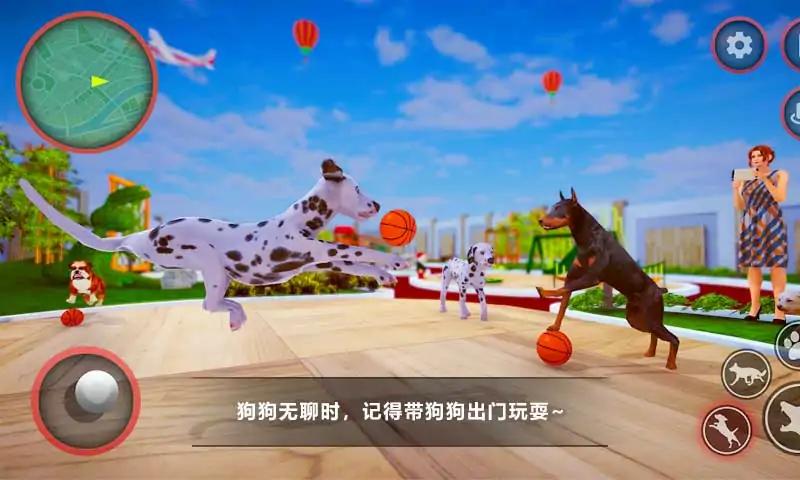 狗狗家庭陪伴截图