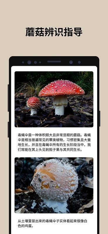 蘑菇识别截图