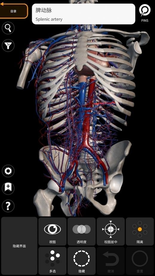 解剖学三维图谱截图