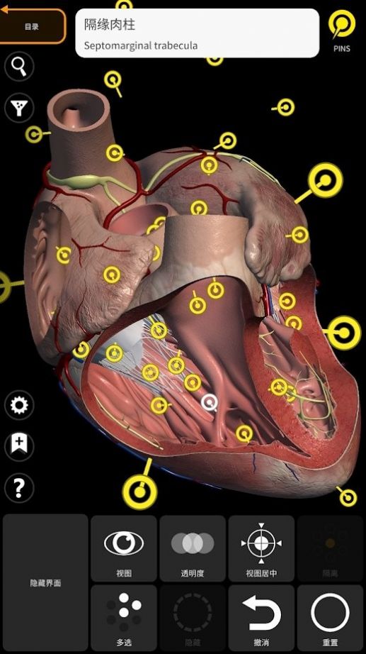解剖学三维图谱截图