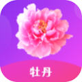 牡丹直播