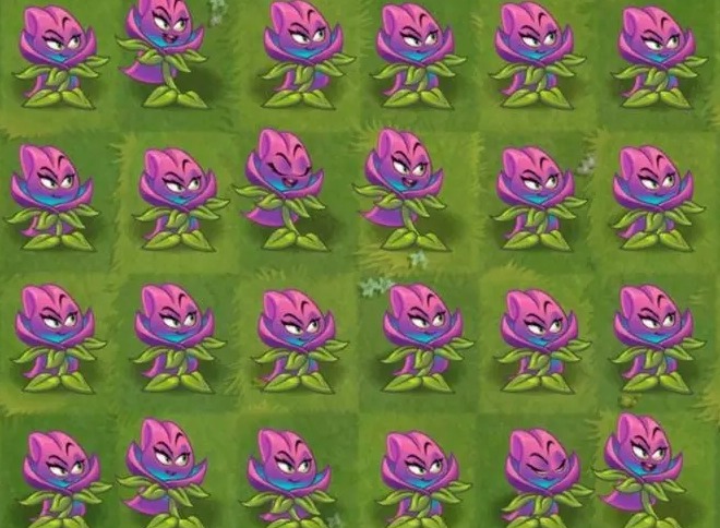植物大战僵尸2魔法番红花有什么作用 魔法番红花介绍