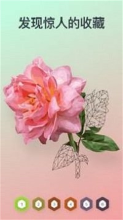 多边形按数字填色截图