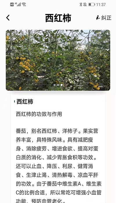 植物科普百科截图