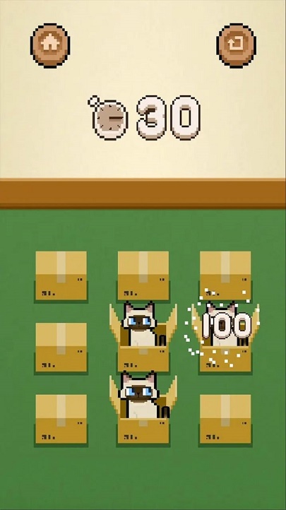 数猫猫截图