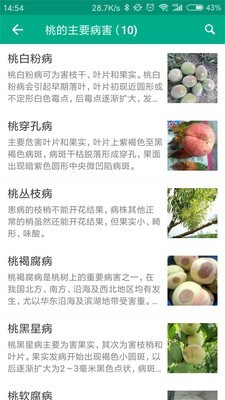 植保家截图