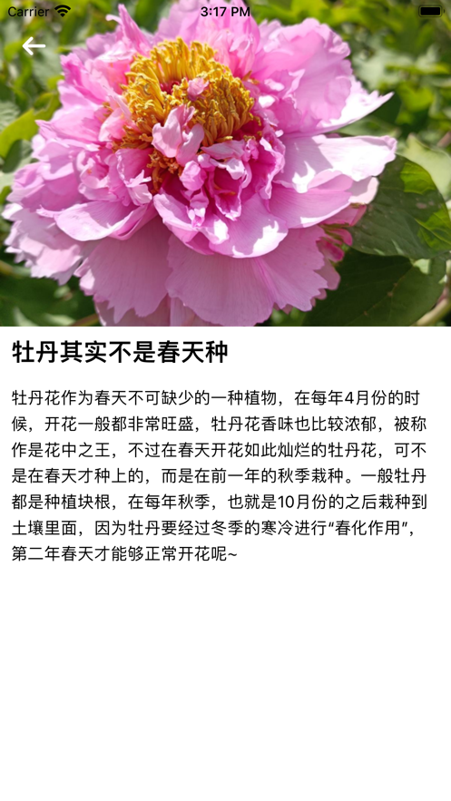 爱上了养植物截图
