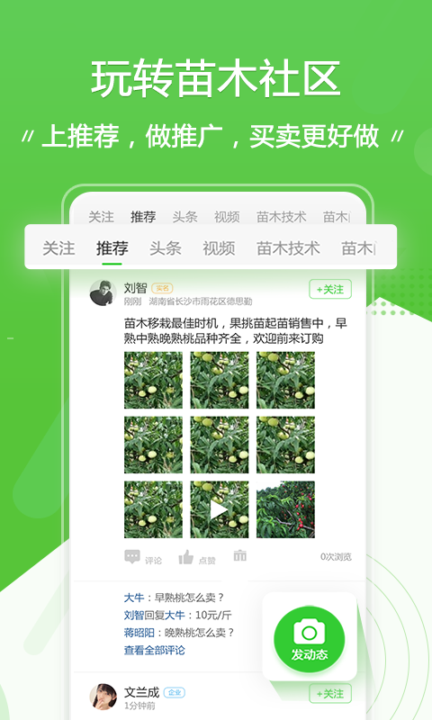 苗木通截图
