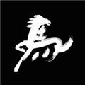 黑码