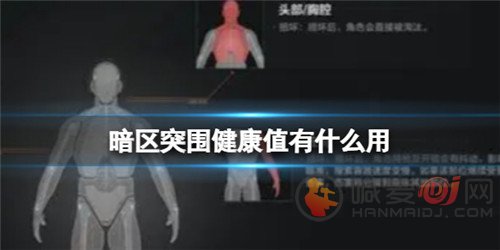 暗区突围健康值有什么用 暗区突围健康值用处一览