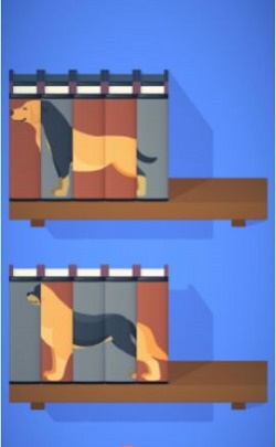 书本排序截图