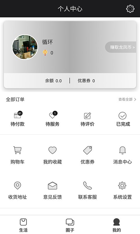 龙形凤象截图