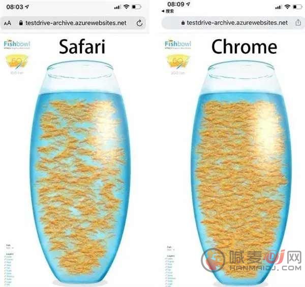 fishbowl测试排名怎么看 fishbowl鱼缸测试排名一览