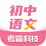 初中语文大师