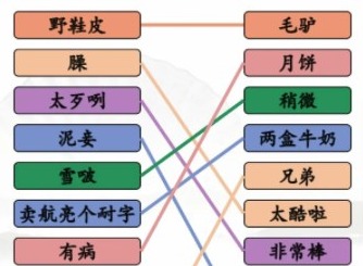 汉字找茬王连线疆普2如何通关 连线疆普2连线答案一览