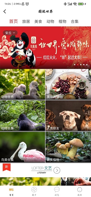 赶点旅居截图