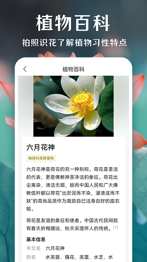 一键拍照识花截图