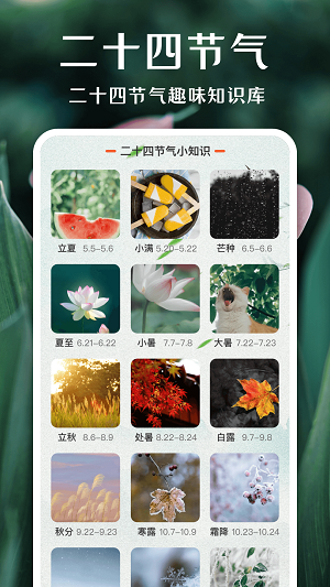 一键拍照识花截图