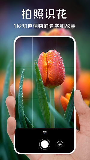 一键拍照识花截图
