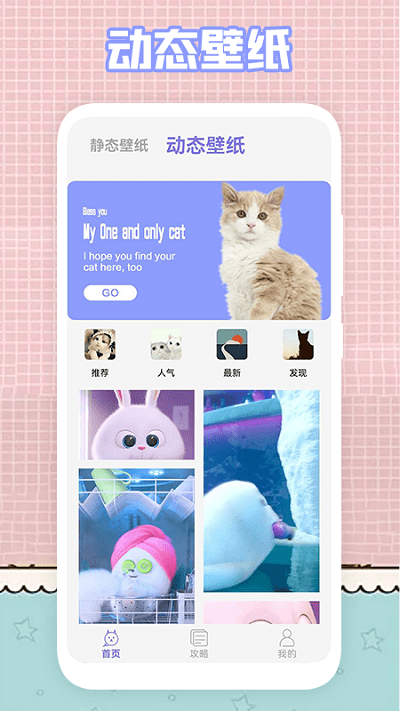 我的猫咪萌宠壁纸截图