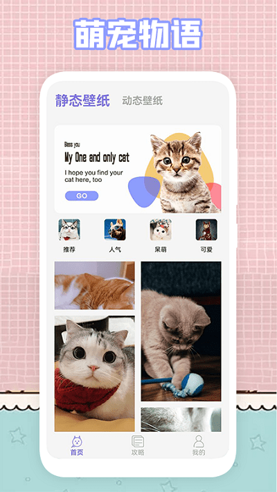 我的猫咪萌宠壁纸截图