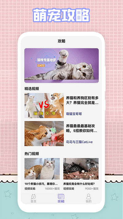 我的猫咪萌宠壁纸截图