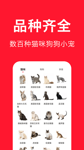 宠物宝截图